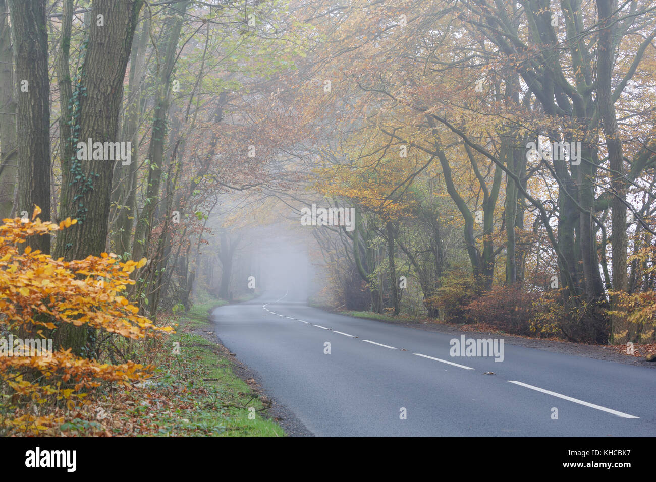 Il B4070 vicino a Birdlip, Gloucestershire, in autunno la nebbia Foto Stock