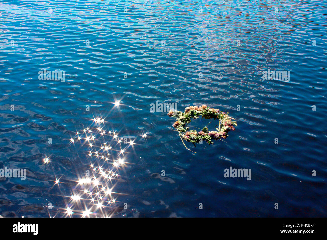 Una corona di fiori galleggianti su acqua frizzante nel cuore dell'estate in Svezia Foto Stock