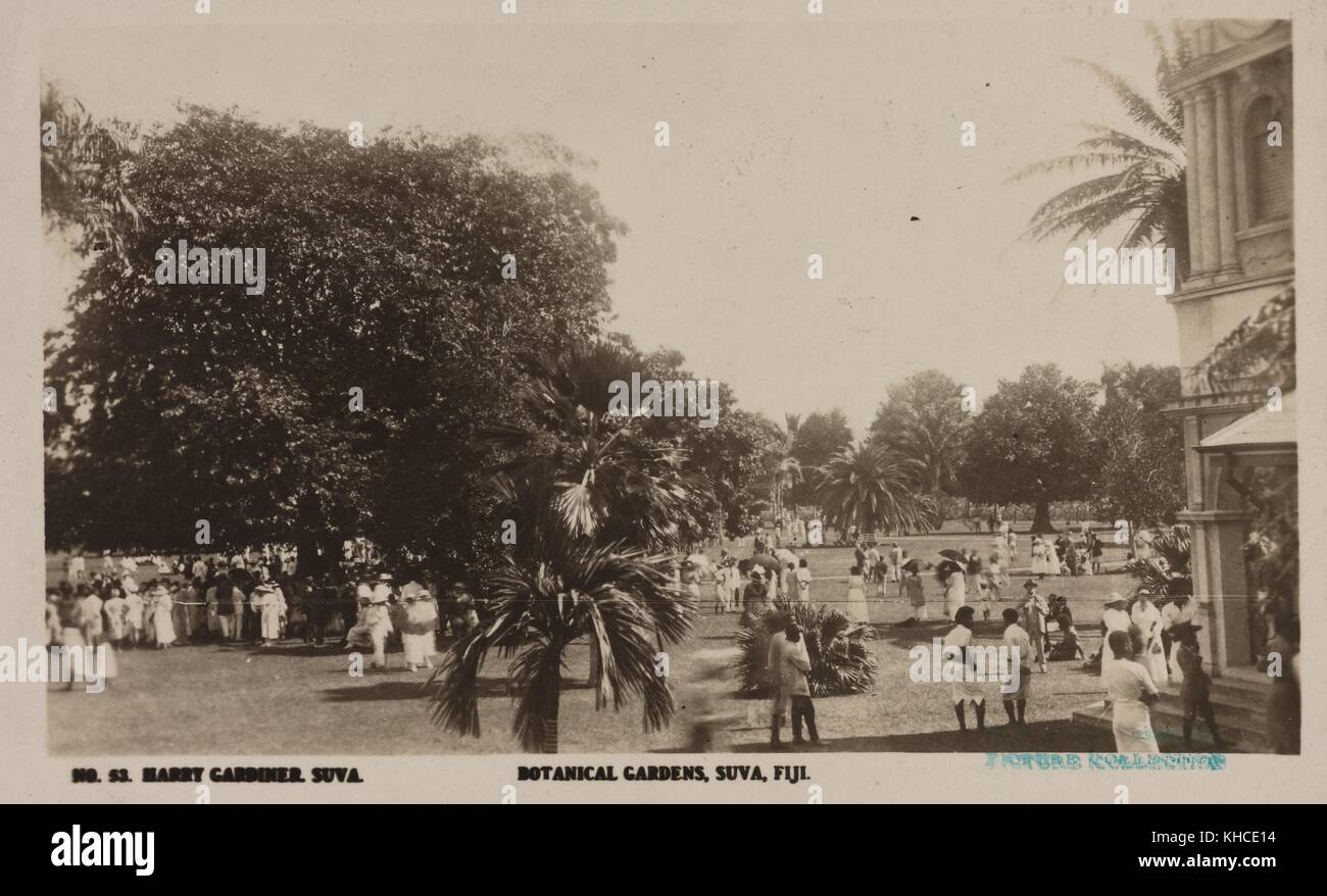 Cartolina di un grande gruppo di persone in piedi e che camminano all'aperto, circondato da grandi alberi e palme, l'angolo di un edificio può essere visto sulla destra, intitolato "Giardini Botanici, Suva, Figi", fotografo Harry Gardiner, Suva, Figi, Isole Figi, Repubblica di Figi, 1920. Dalla New York Public Library. Foto Stock
