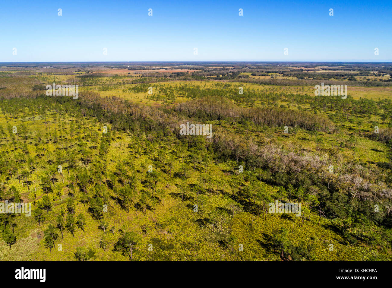 Florida, Kenansville, Lake Marian Highlands, Three Lakes Wildlife Management Area, vista aerea dall'alto, USA Stati Uniti America Nord America, FL1710 Foto Stock