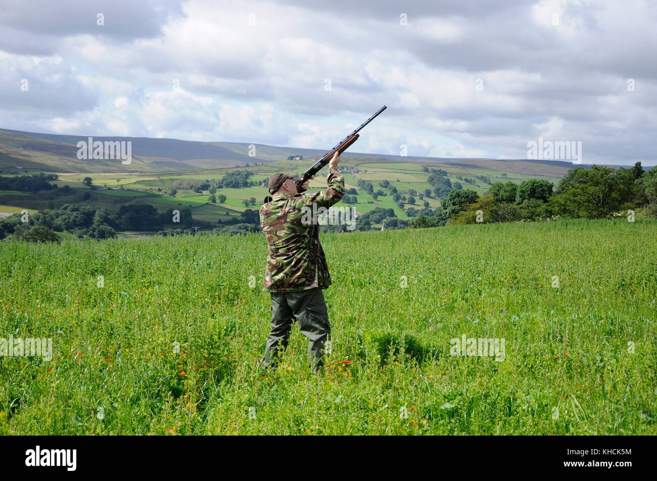 Un uomo in un campo di weardale nella contea di Durham con un semi fucile automatico puntando ad alta bird, su una giornata d'estate. Foto Stock