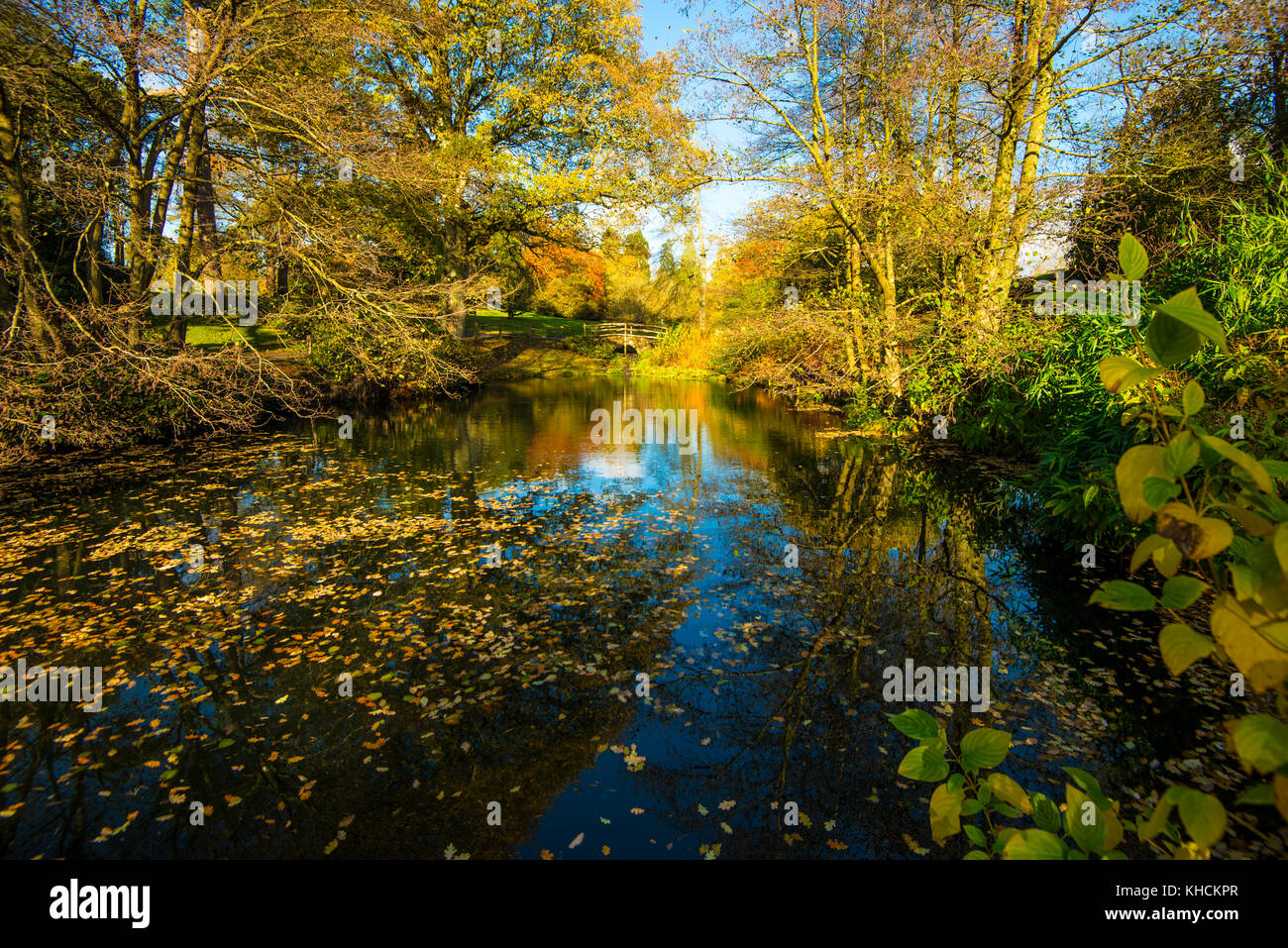 Wakehurst Place. Giardini maestosi con colori oro e rosso autunnali. Lago. Cammina. Sala da tè. Ristorante. Grandi alberi. Viste raffinate. Kew. NAT Trust. Foto Stock