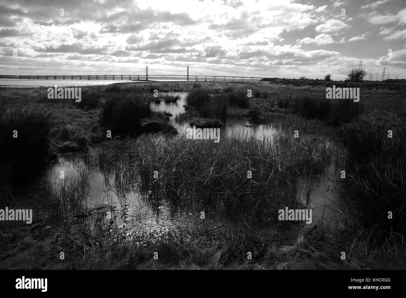 Secondo severn crossing visto dal Wales coast path vicino a Blackrock, portskewett. Foto Stock