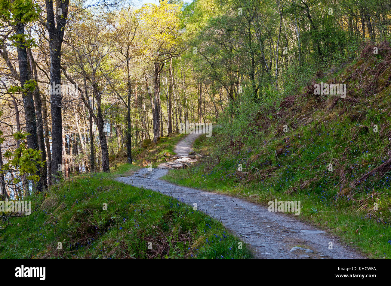 West Highland Way trail lungo Loch Lomond, Scozia Foto Stock