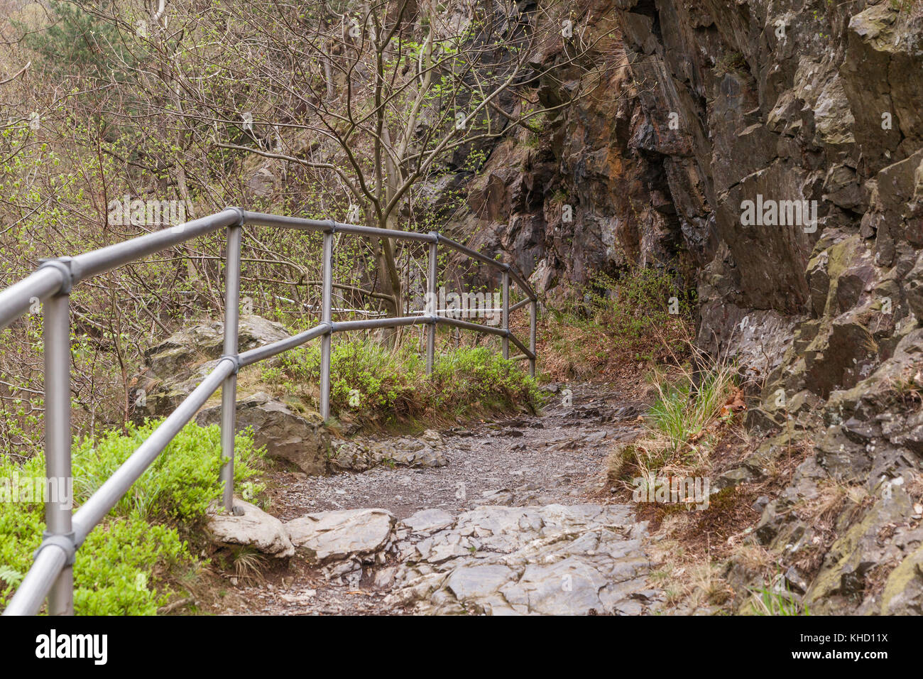 Harzer esen-stieg / bodetal-stieg zwischen treseburg und thale Foto Stock