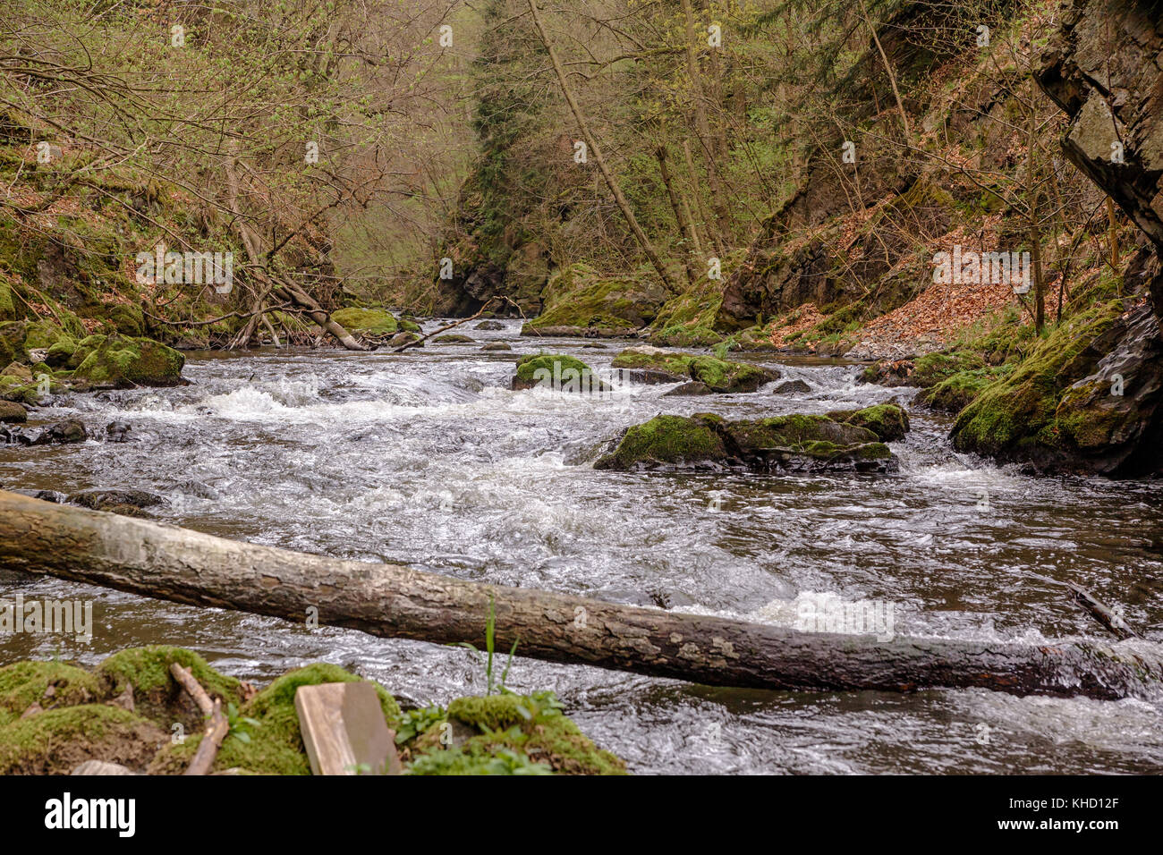 Harzer esen-stieg / bodetal-stieg zwischen treseburg und thale harzer esen-stieg / bodetal-stieg zwischen treseburg und thale bode Foto Stock