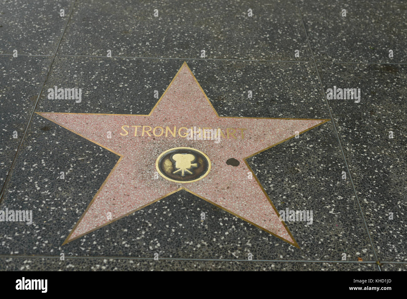 HOLLYWOOD, CA - DICEMBRE 06: Strongheart stella sulla Hollywood Walk of Fame a Hollywood, California il 6 dicembre 2016. Foto Stock