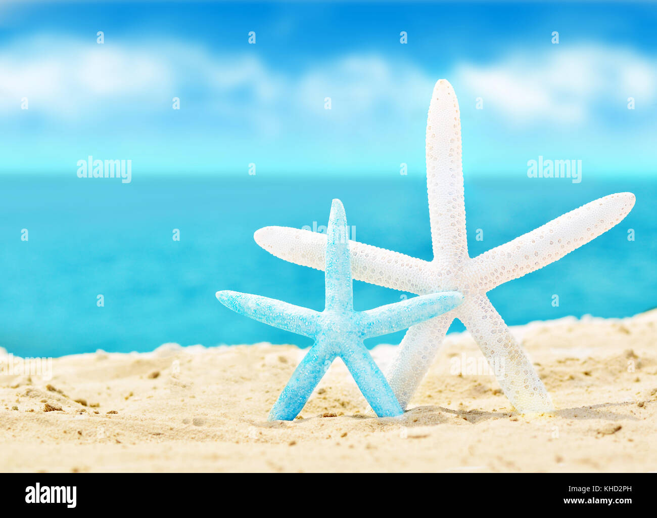 Conchiglie e stelle marine in estate spiaggia con sabbia Foto Stock