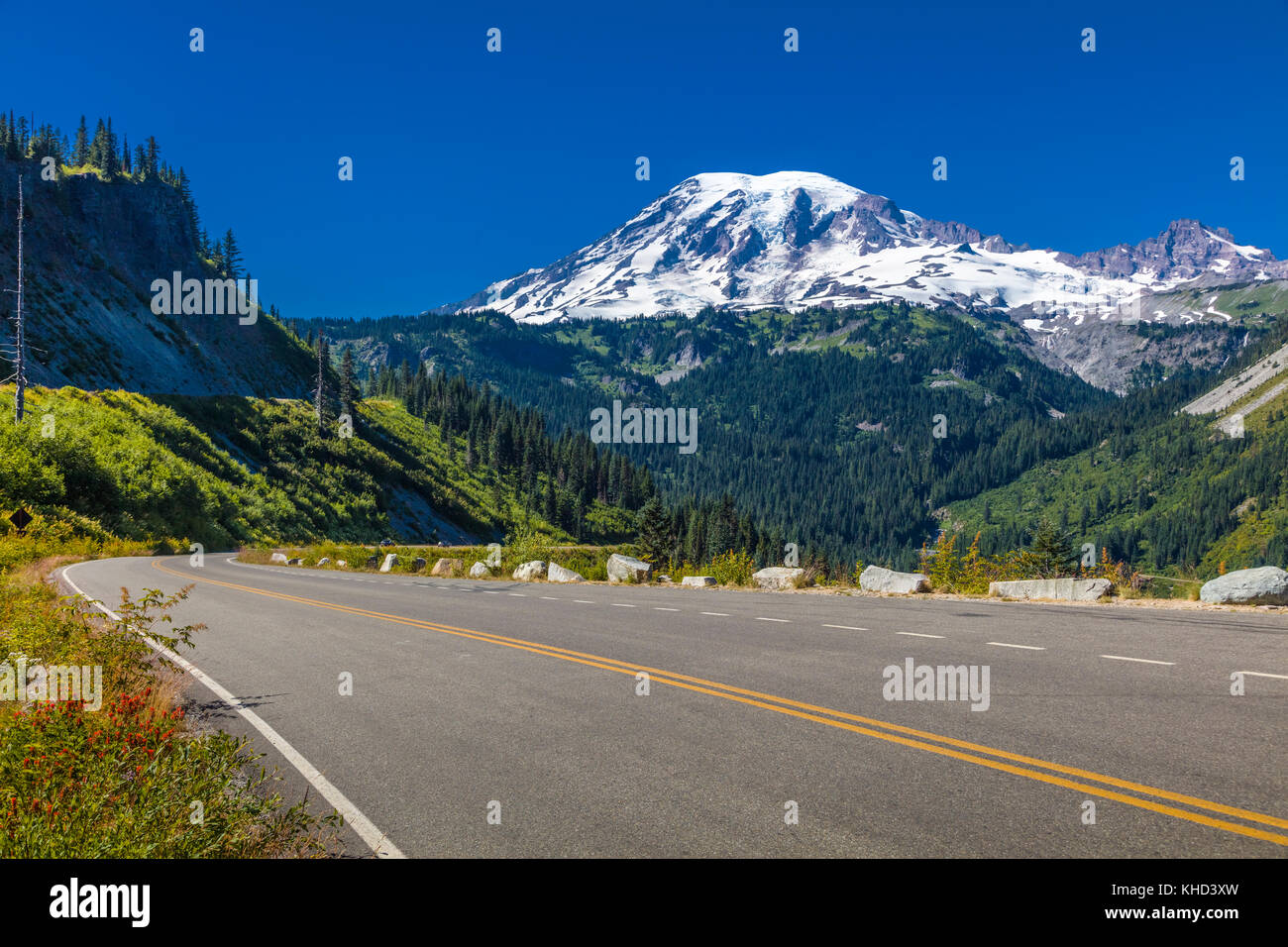 Stevens Canyon Road in Mount Rainier National Park in Washington Stati Uniti Foto Stock