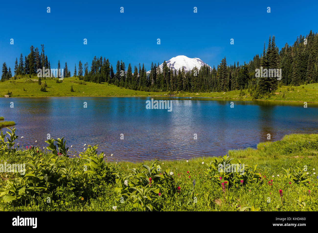 Tipsoo lake in Mount Rainier National Park Washington Stati Uniti Foto Stock