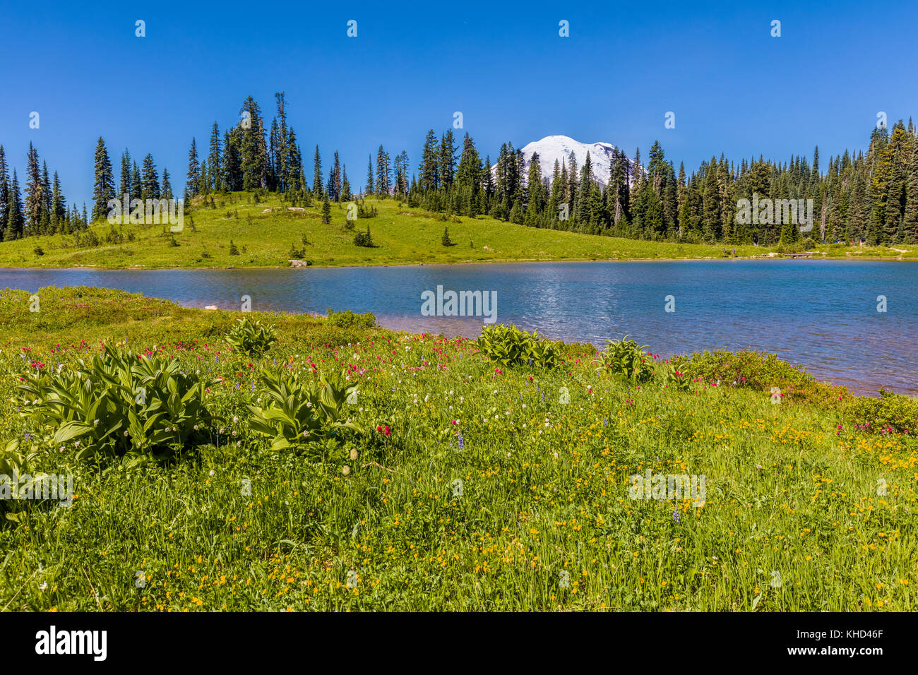 Tipsoo lake in Mount Rainier National Park Washington Stati Uniti Foto Stock