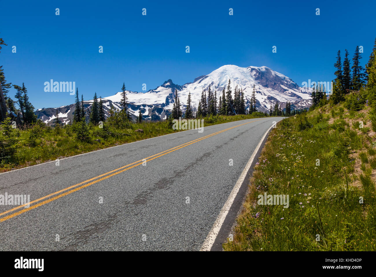 Strada in Mount Rainier National Park in Washington Stati Uniti Foto Stock