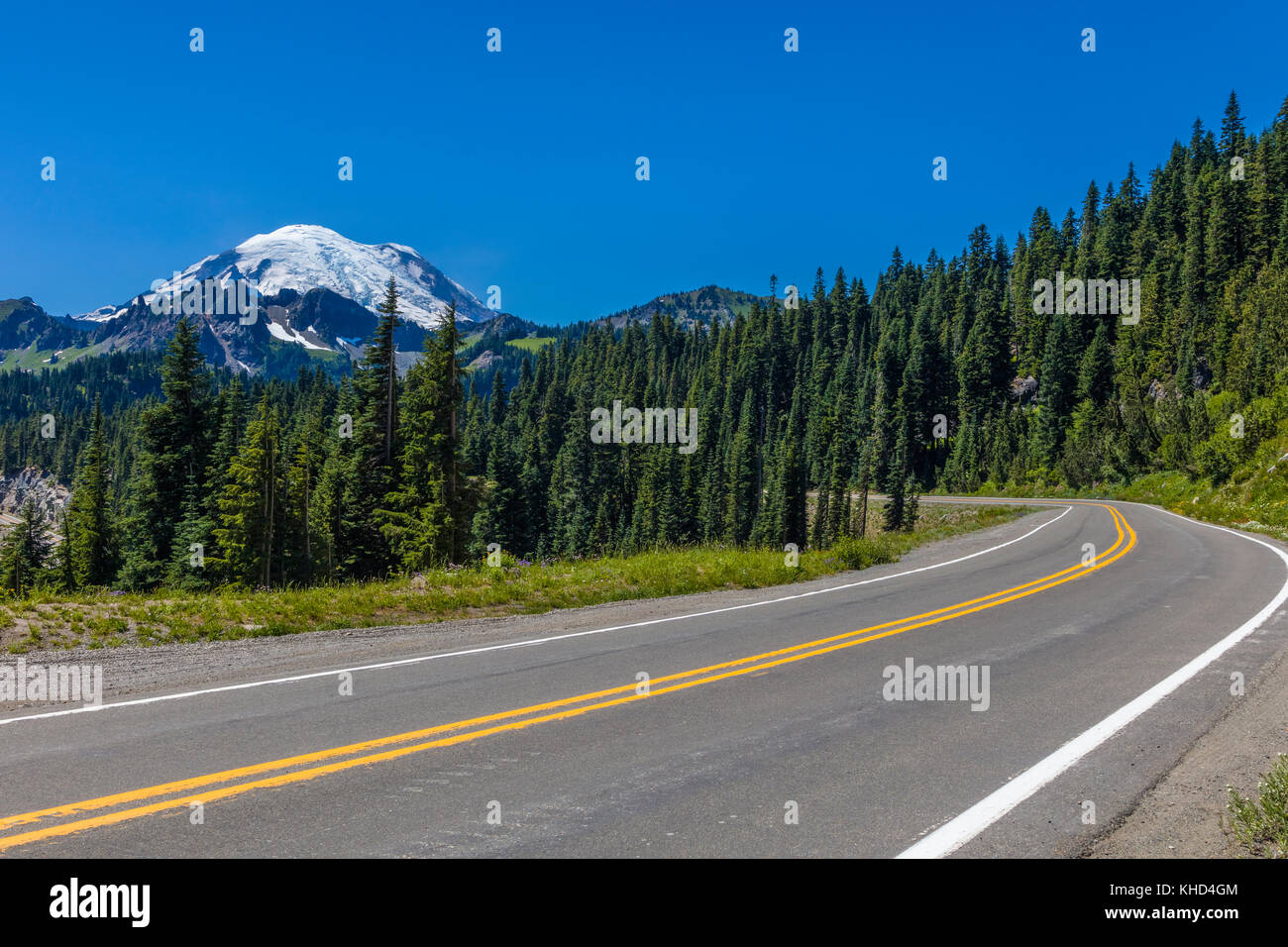 Strada in Mount Rainier National Park in Washington Stati Uniti Foto Stock