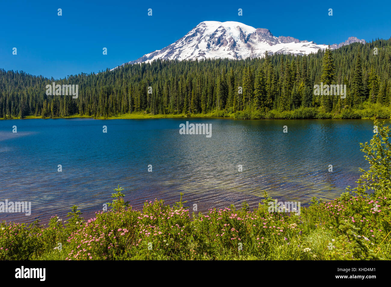 Lago di riflessione in Mount Rainier National Park in Washington Stati Uniti Foto Stock