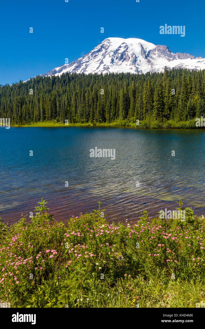 Lago di riflessione in Mount Rainier National Park in Washington Stati Uniti Foto Stock