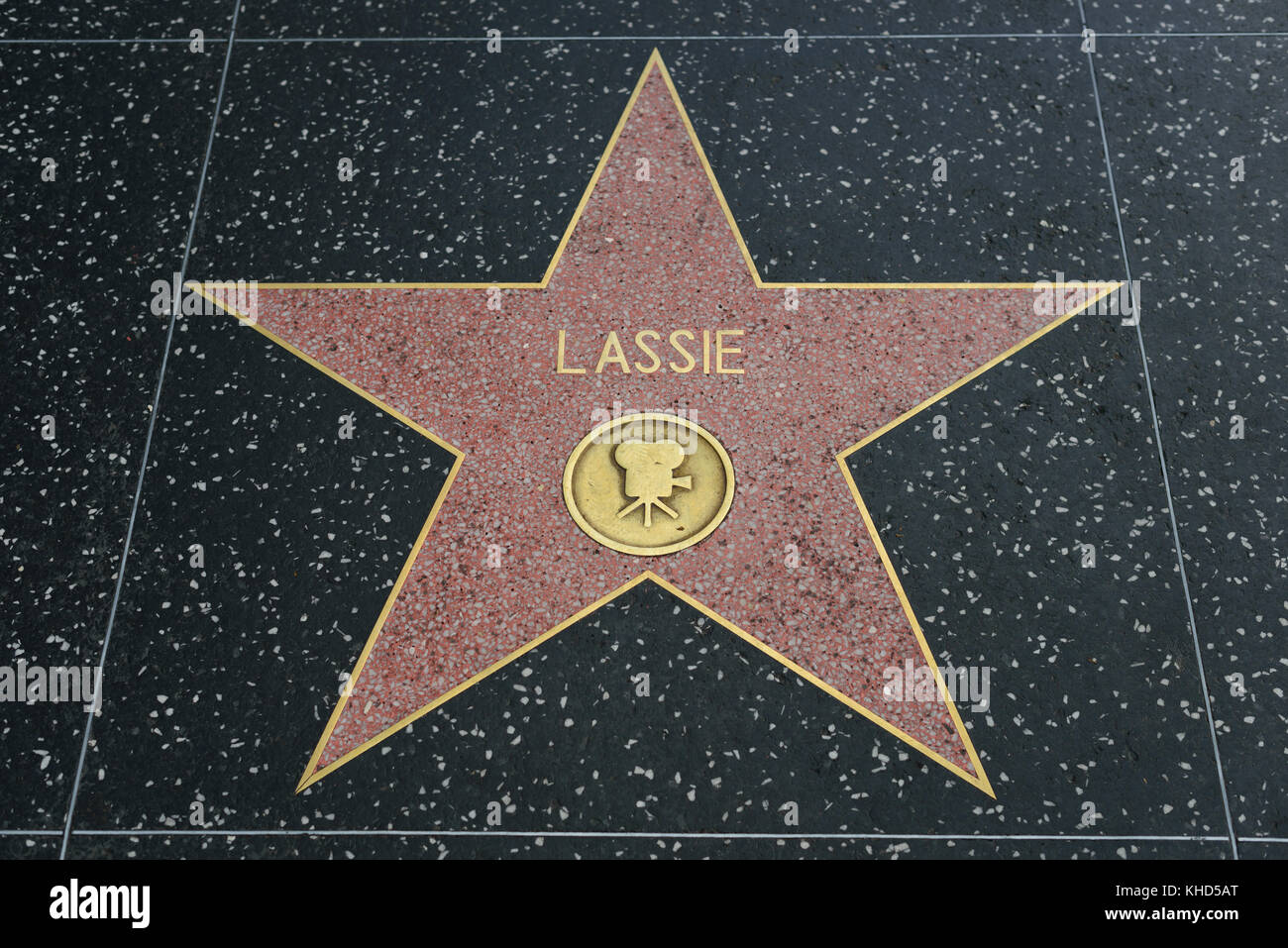 HOLLYWOOD, CA - DICEMBRE 06: Stella di Lassie sulla Hollywood Walk of Fame a Hollywood, California il 6 dicembre 2016. Foto Stock