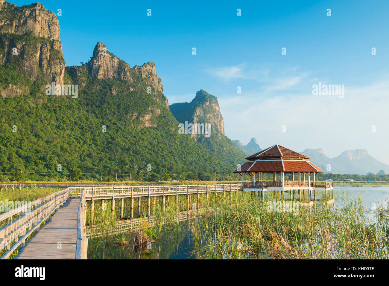 Tappo bua a khao sam roi yod national park, Thailandia Foto Stock