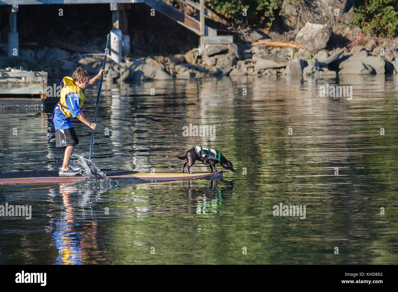 Un ragazzo e il suo cane, entrambi con giubbotti salvagente, viaggiate lungo il litorale a bordo di un stand-up paddleboard, con il cane sporgersi dalla prua. Foto Stock