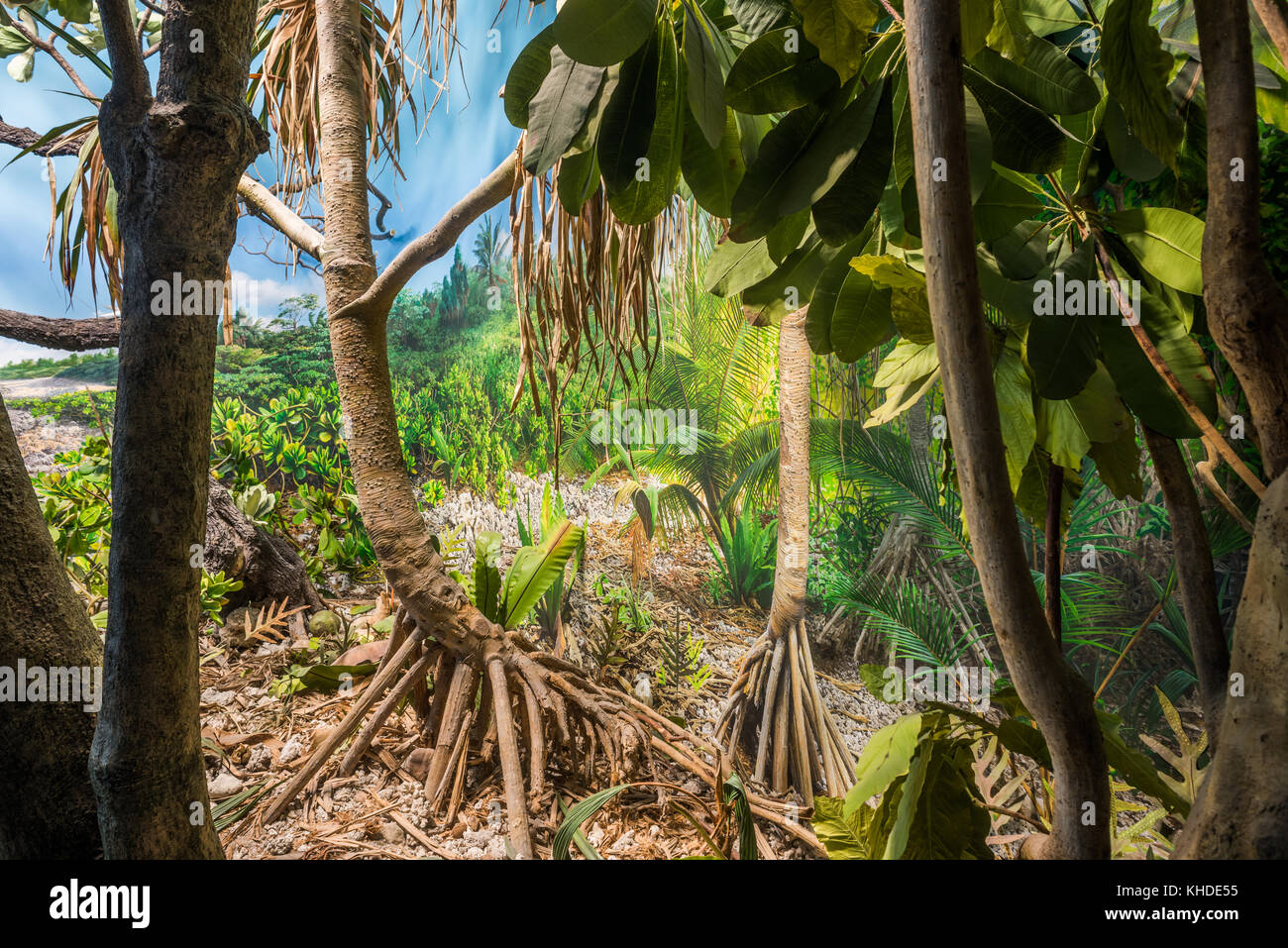 La visualizzazione del campo per il Museo di Storia Naturale. Foto Stock