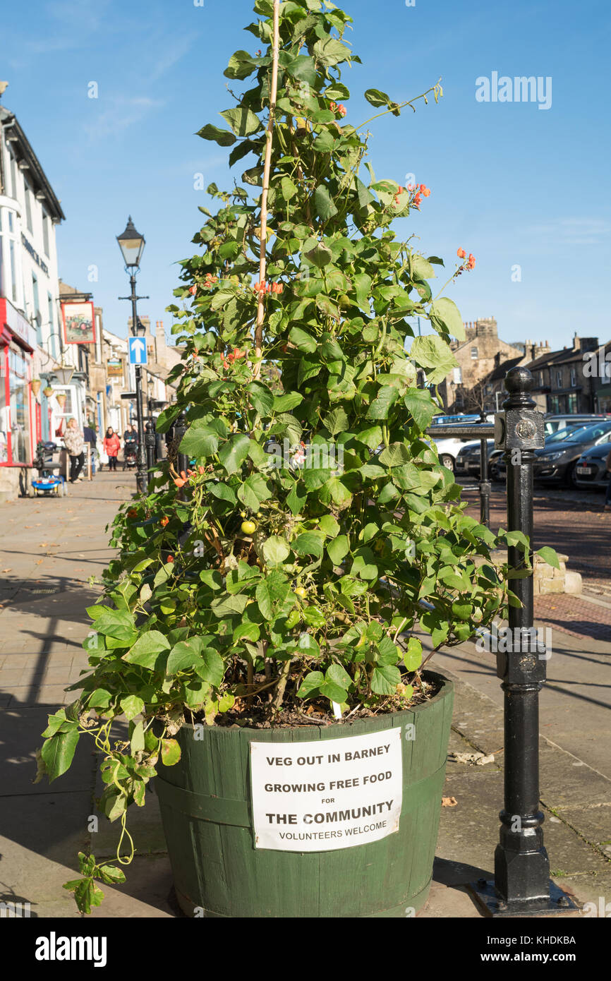 La Veg in Barney un premiato comunità progetto piantagione di Barnard Castle, Co. Durham, England, Regno Unito Foto Stock