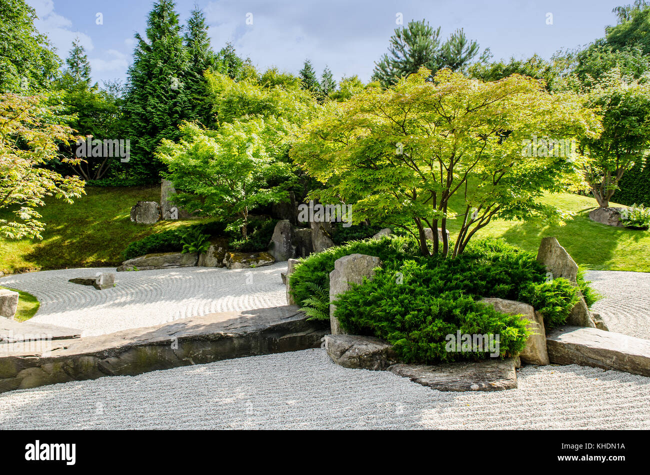 Tradizionale Giapponese del giardino zen con alberi in background Foto Stock
