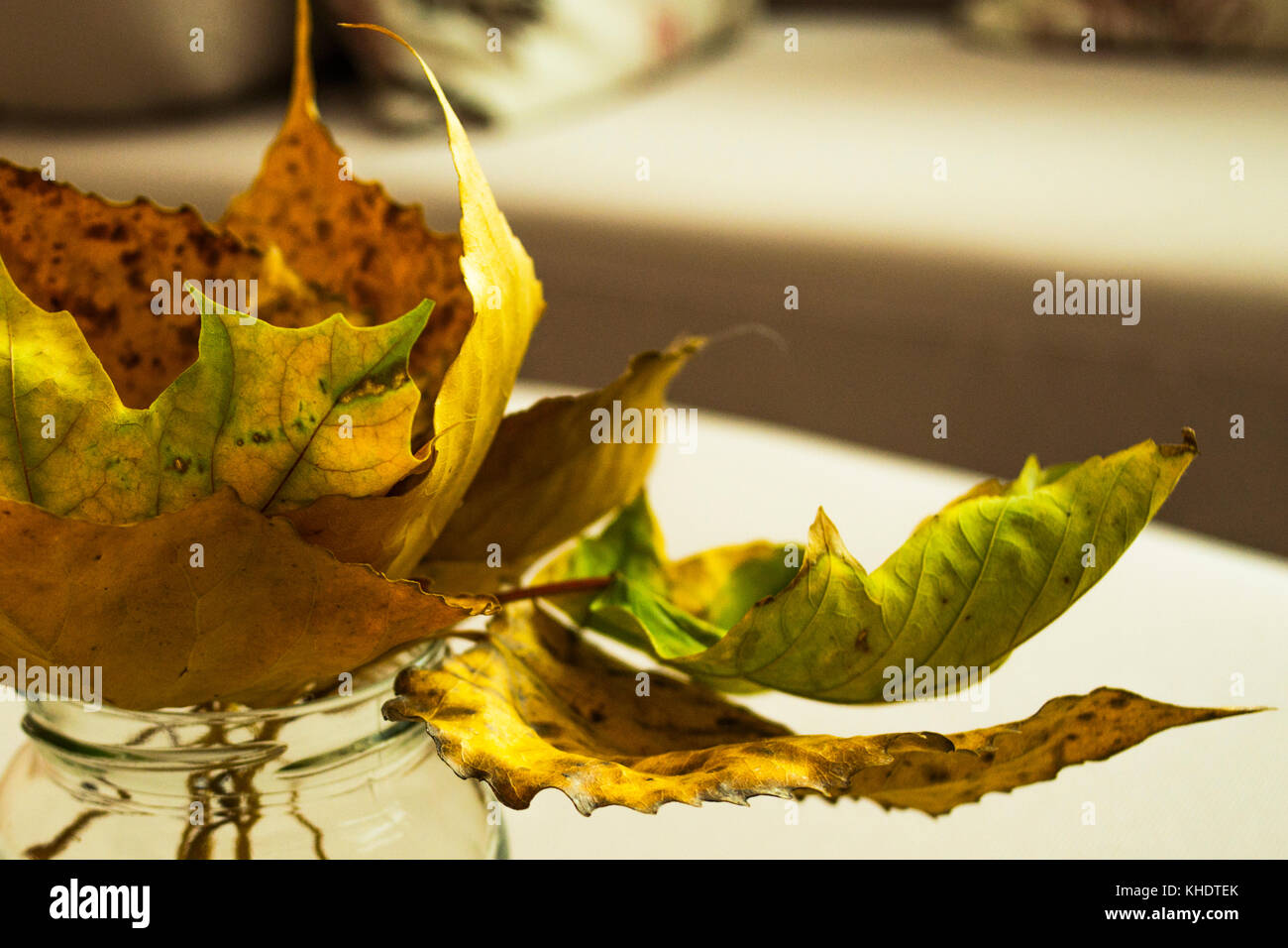 Un mucchio di foglie di autunno colorato in sfumature di marrone, giallo e verde, disposti in un salotto vaso Foto Stock