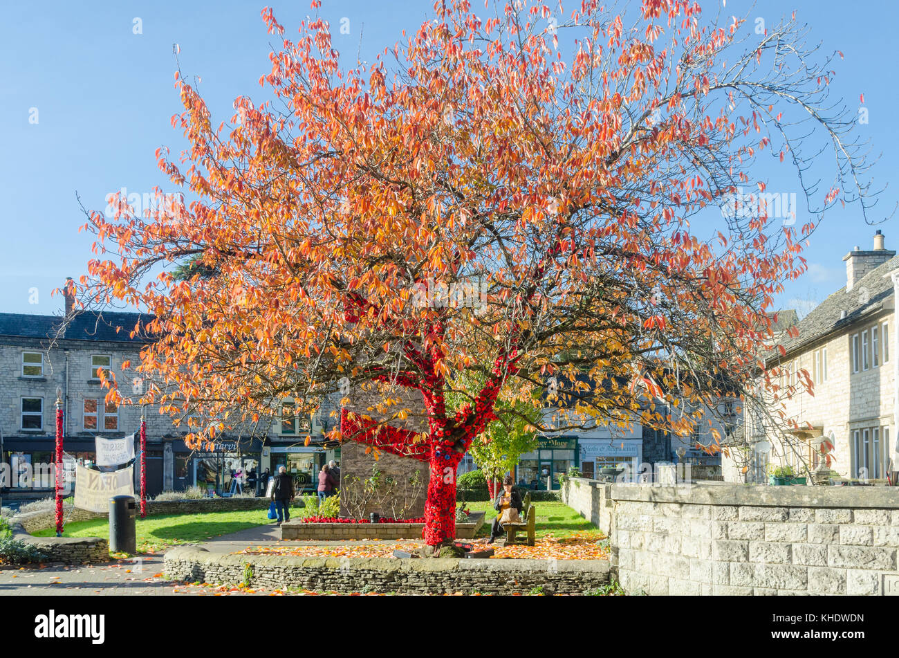 Albero decorato con maglia papaveri rossi nel centro del Cotswold città di Nailsworth nel Gloucestershire, Regno Unito Foto Stock