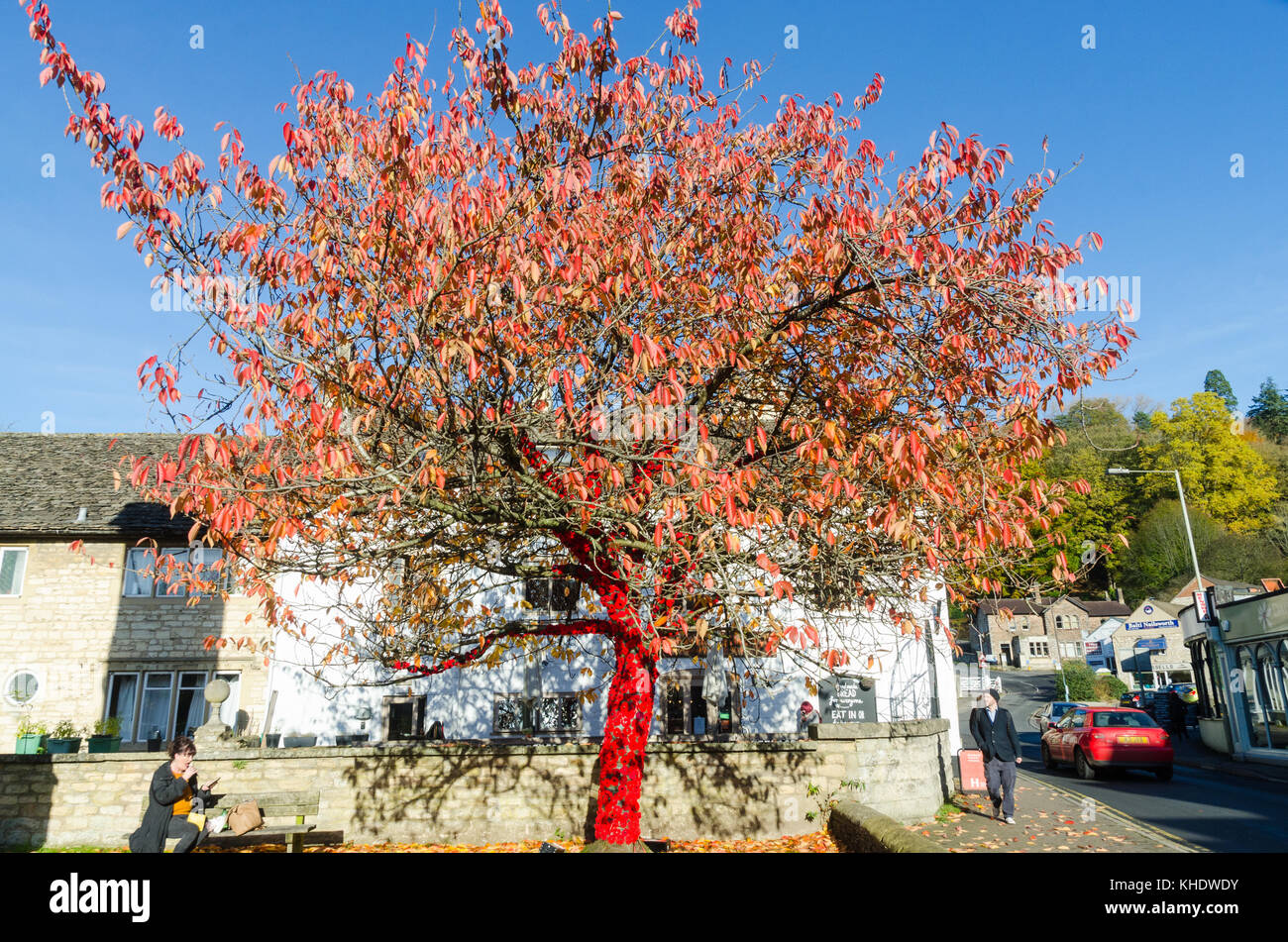 Albero decorato con maglia papaveri rossi nel centro del Cotswold città di Nailsworth nel Gloucestershire, Regno Unito Foto Stock