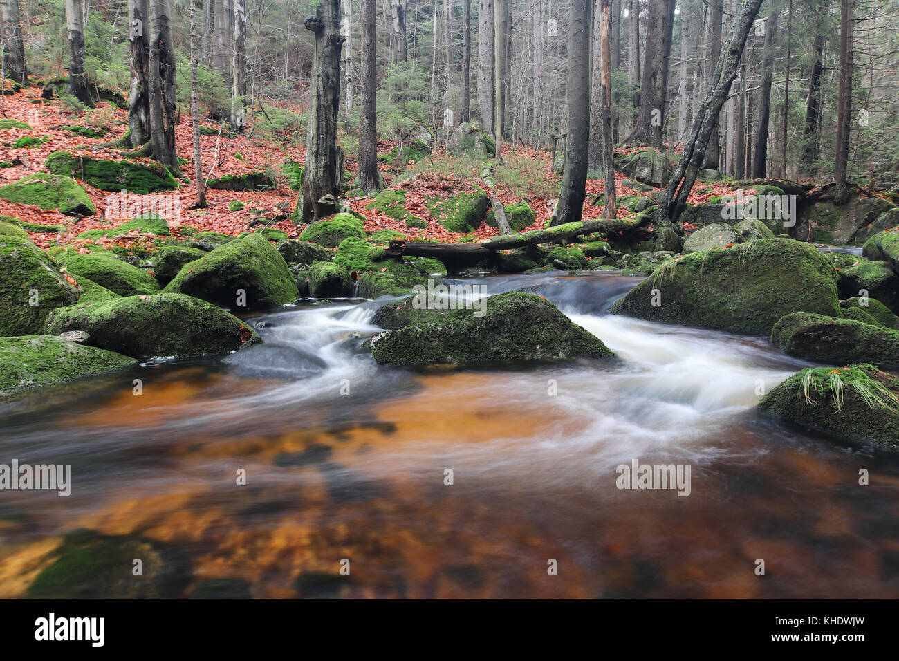 Rapids sulla jedlova creek in autunno, Jizera Mountains, Repubblica ceca Foto Stock