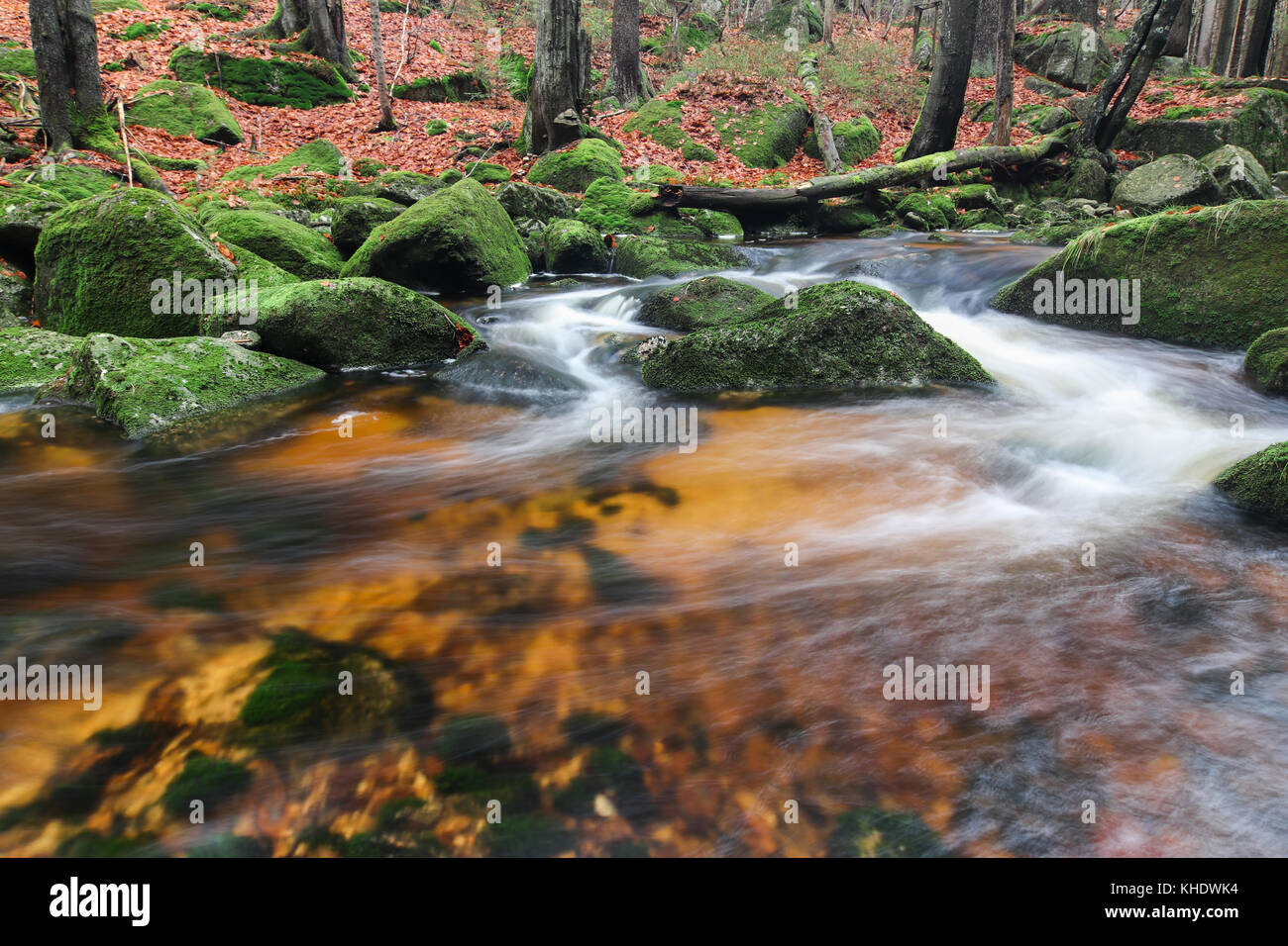 Rapide sul jedlova creek, Jizera Mountains, Repubblica ceca Foto Stock