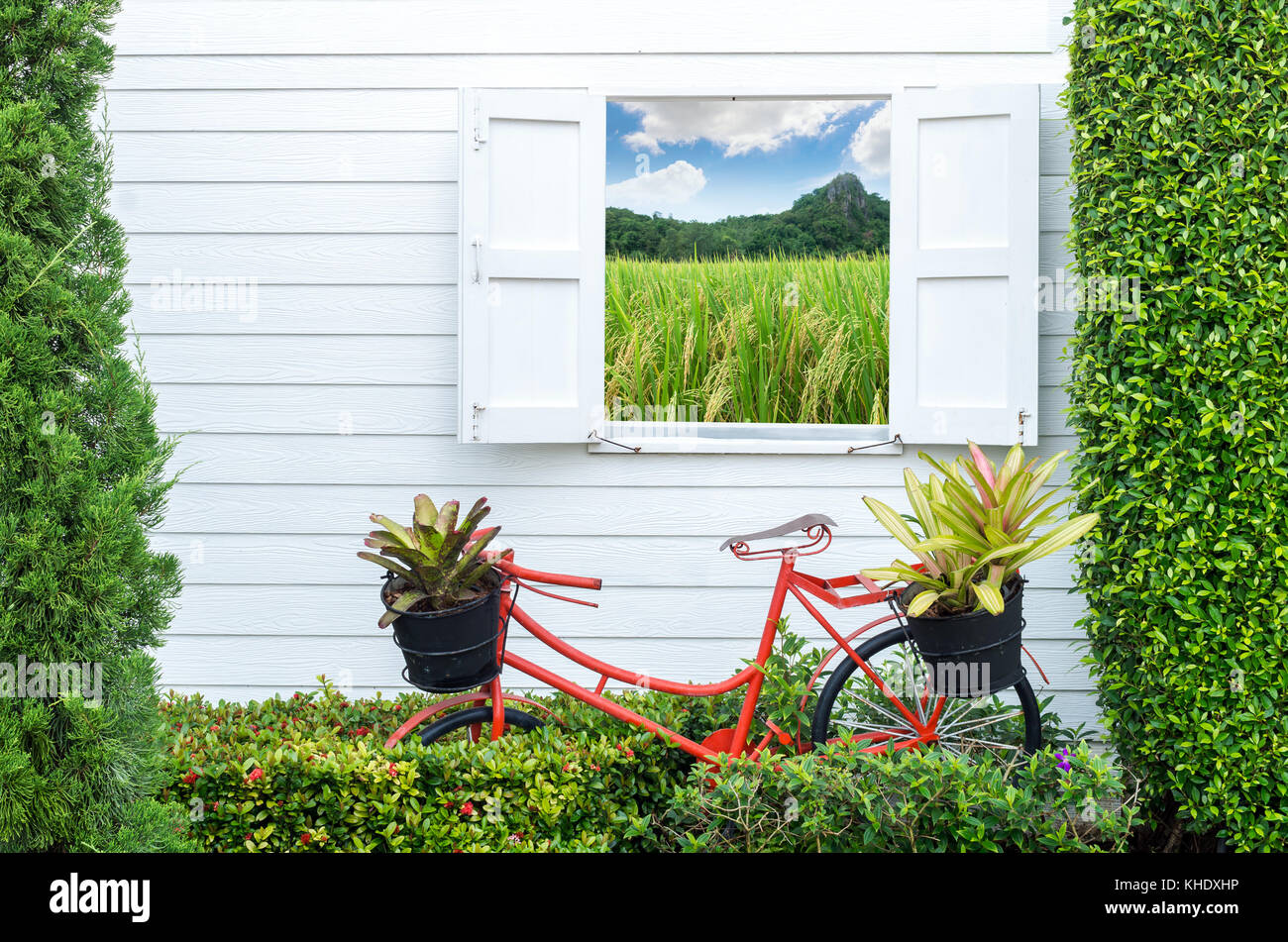 Decorare il giardinaggio con la bicicletta e windows, può vedere il campo di riso e montagna sfocare lo sfondo con il tramonto del sole Foto Stock