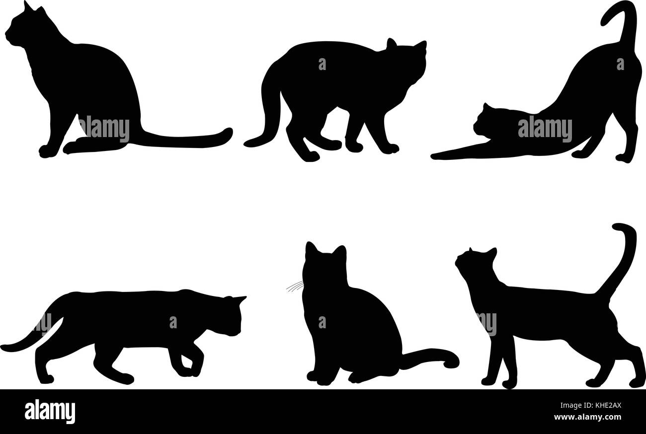 Silhouette di gatti - vettore Illustrazione Vettoriale