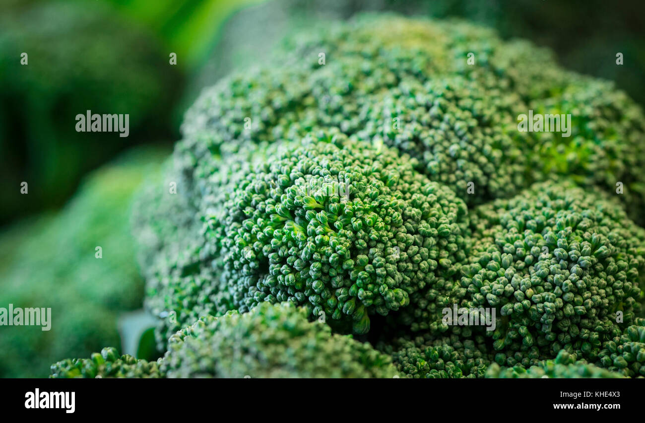 I broccoli organici di Tuscarora Organic Growers (TOG) sono stati consegnati ad ogni mercato di Peach a Washington, D.C., martedì 2 agosto 2016. Ogni Peach Market, fondato nel 2013, è un negozio di alimentari a servizio completo che fornisce prodotti, latticini, uova fresche, carne, birra e vino, cibi preparati e molto altro. Il personale è pronto e in grado di raccontare come e dove provengono i cibi e suggerire come preparare i pasti. Jeanelouise Conaway e Emily Freidberg hanno co-proprietario il mercato per, come dicono "…condividere il nostro amore per il buon cibo e lo spirito culinario fai da te con la nostra comunità". Sono caratterizzati da molti grandi prodotti locali Foto Stock