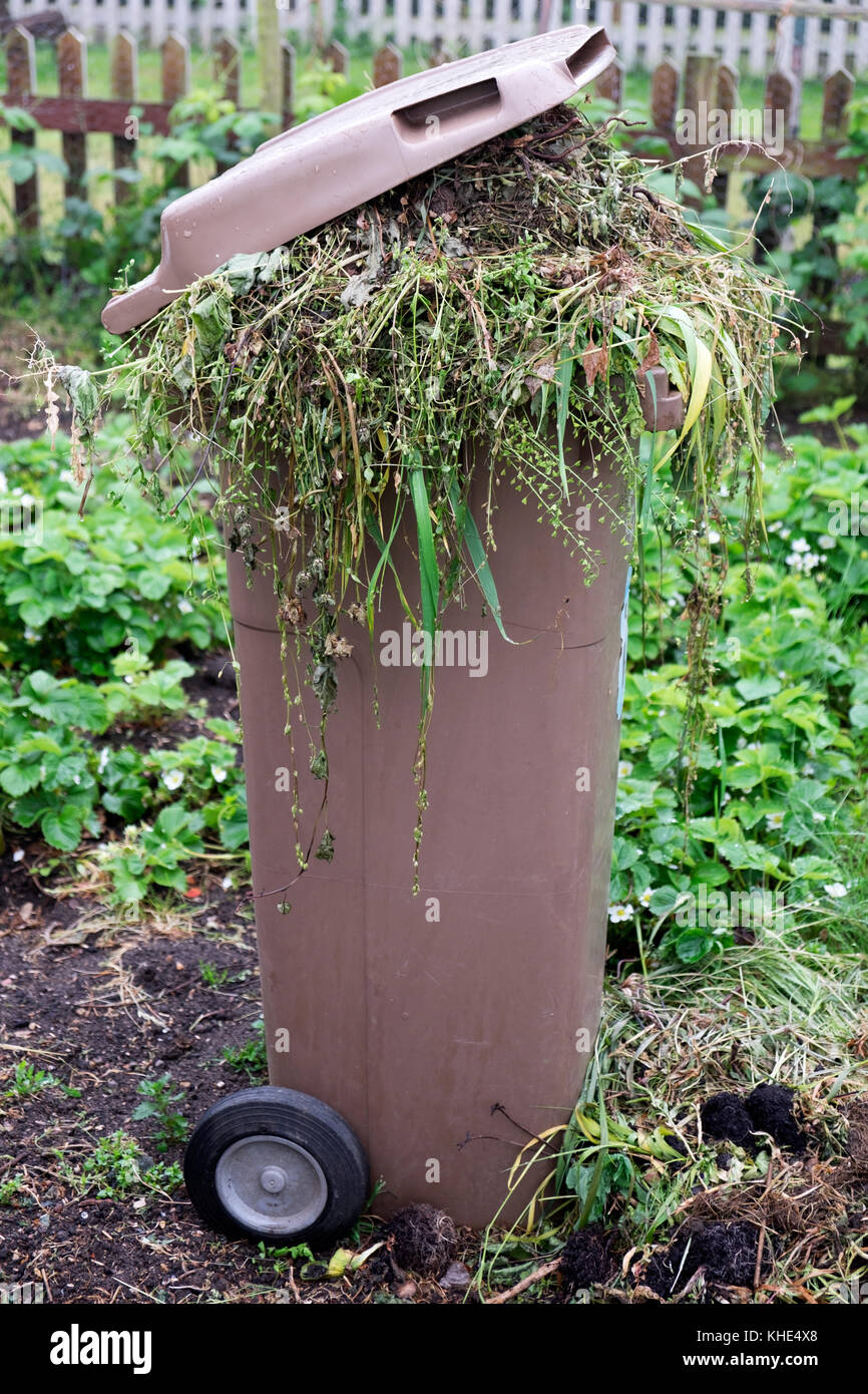 Giardino i rifiuti nel contenitore di riciclaggio Foto Stock