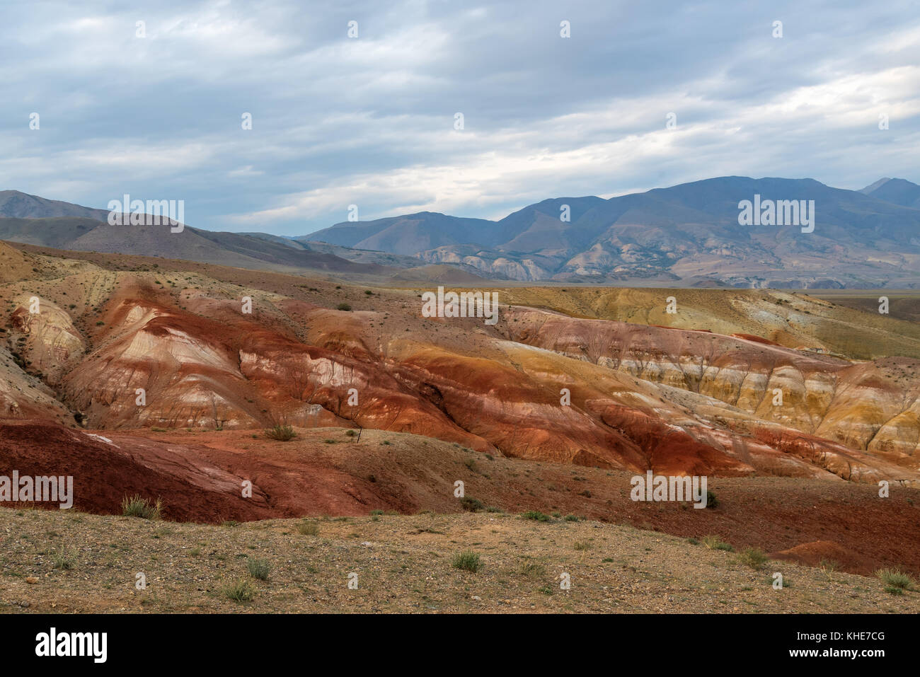 Steppa pittoresco paesaggio desertico con montagne multicolori, crepe nel suolo e vegetazione sparsa su uno sfondo di cielo nuvoloso Foto Stock