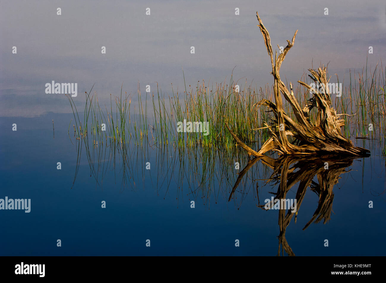 Un momento tranquillo in Seney National Wildlife Refuge nella Penisola Superiore del Michigan Foto Stock