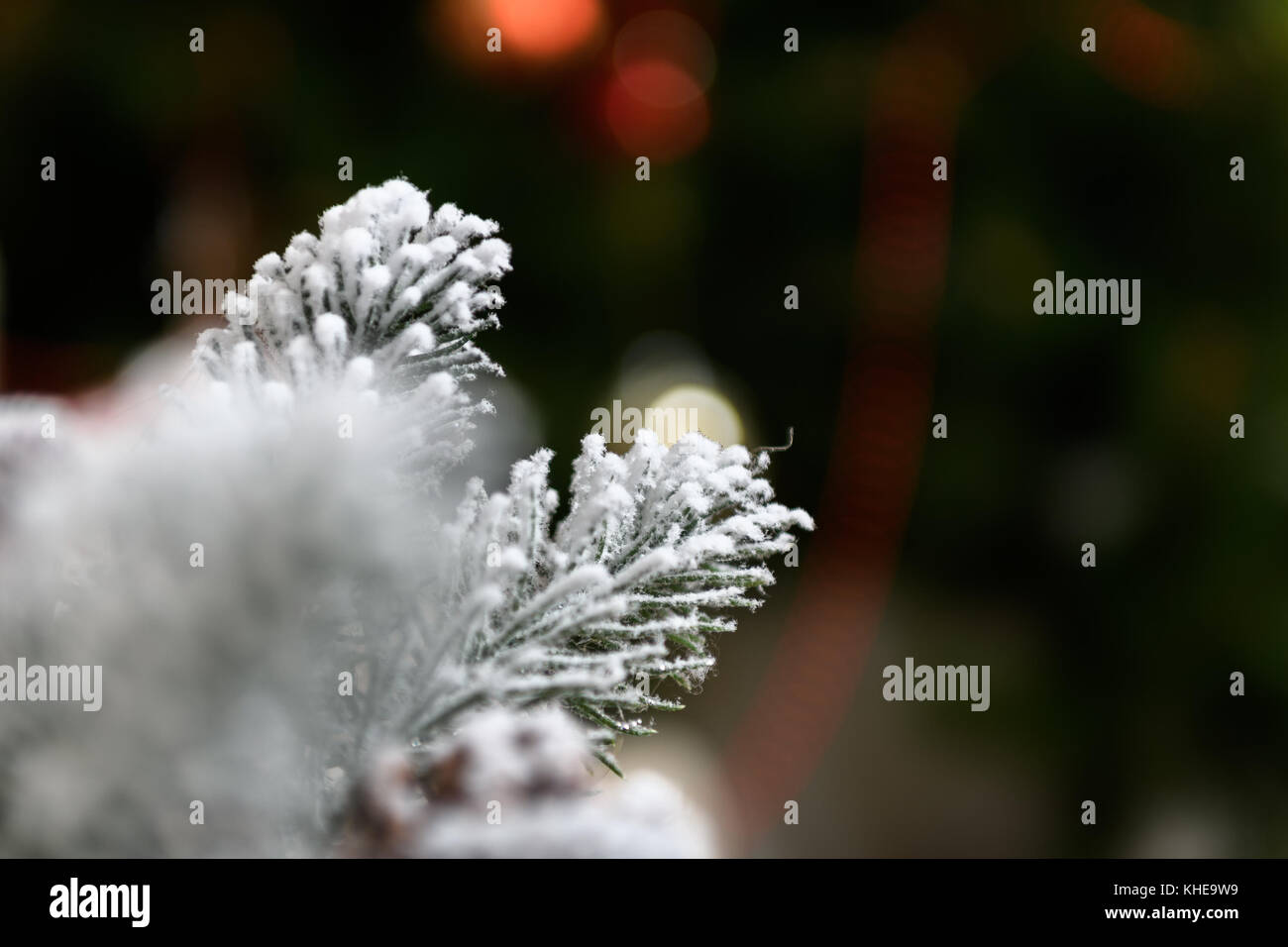 Decorazione natalizia naturale delle pigne immagini e fotografie stock ad  alta risoluzione - Alamy