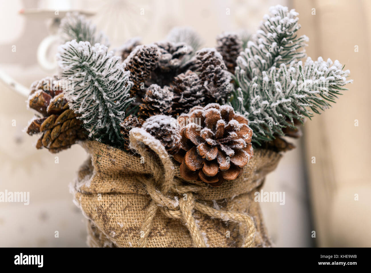 Sfondo di pino immagini e fotografie stock ad alta risoluzione - Alamy