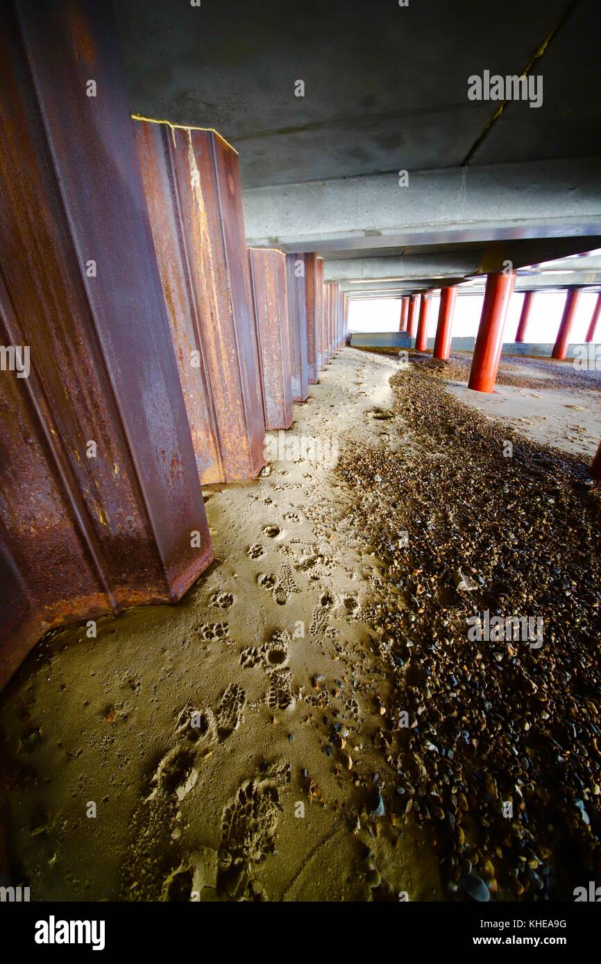 Cane e uomo orme nella sabbia sotto Felixstowe Pier. Suffolk, Regno Unito. Foto Stock