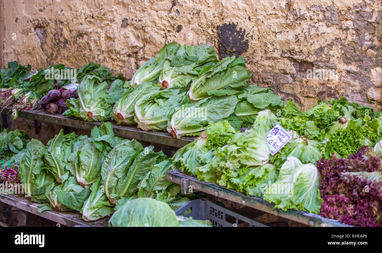 Fila di lattughe in vendita presso una strada locale stallo nella città di Corfù, Grecia Foto Stock