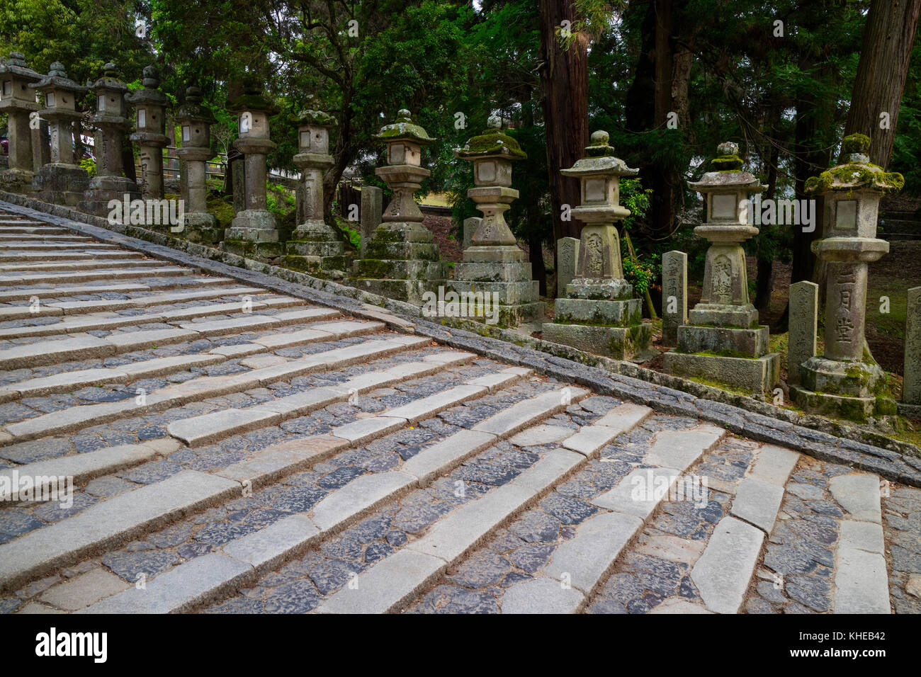 Nara - Giappone, 31 maggio 2017: Fila di molte lanterne di pietra che conducono al santuario Kasuga Taisha Foto Stock
