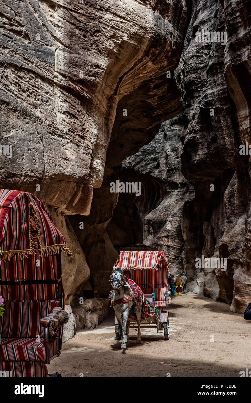 Cavallo e Carrozza di trasporto turistico, Petra, Giordania, medio oriente Foto Stock