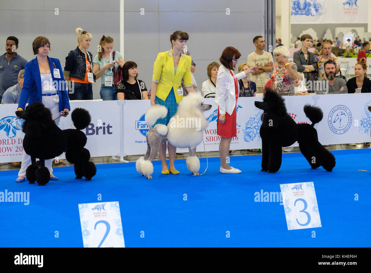 Partecipanti all'anello della mostra canina mondiale Foto Stock