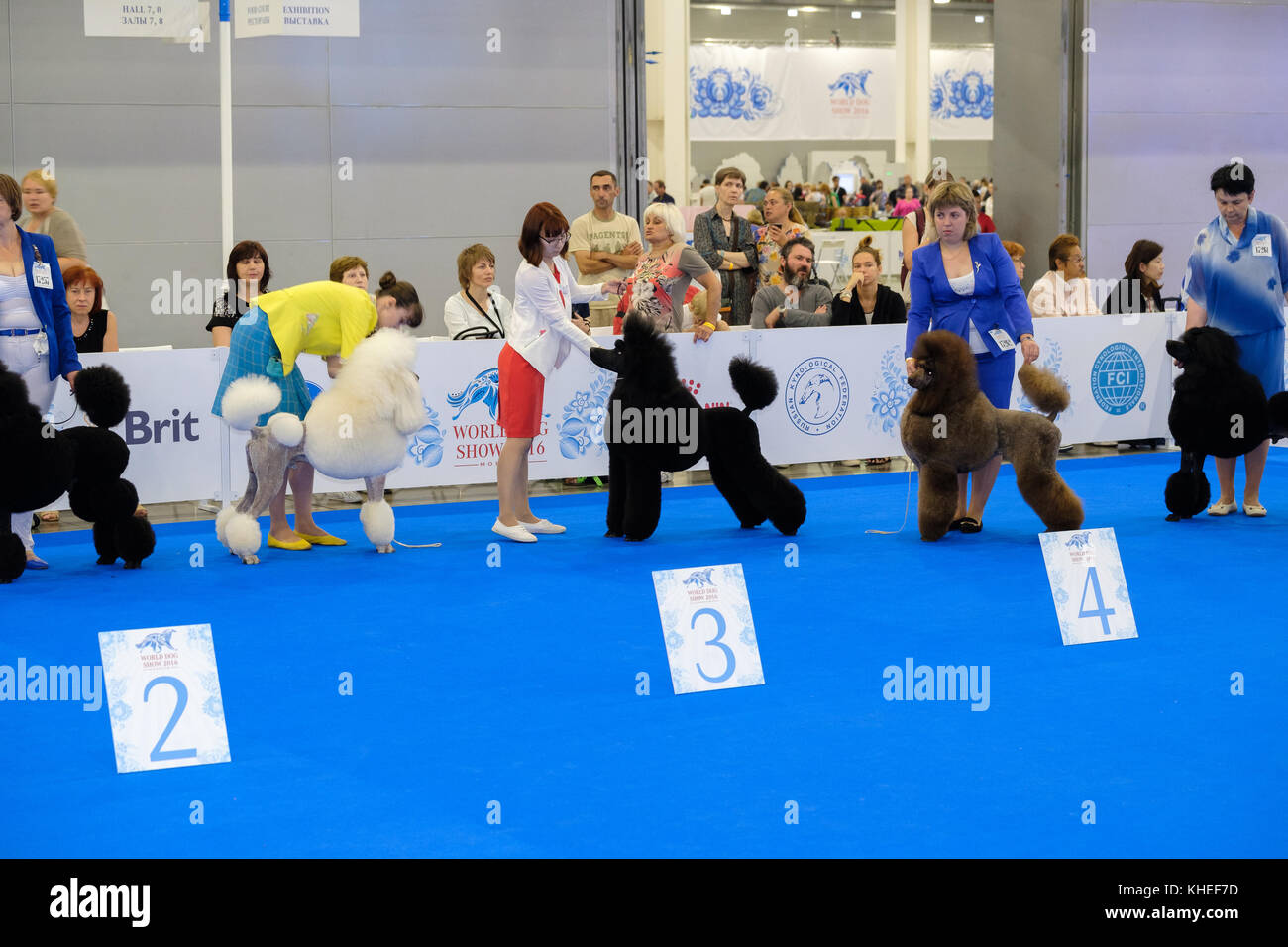 Partecipanti all'anello della mostra canina mondiale Foto Stock