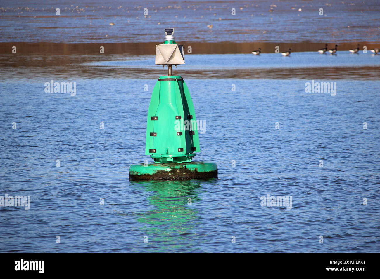 Marcatore verde boa galleggiante sul fiume stour nel Suffolk, Regno Unito. n. marcature. lo sfondo con il fiume nella distanza. buona copia spazio. Foto Stock