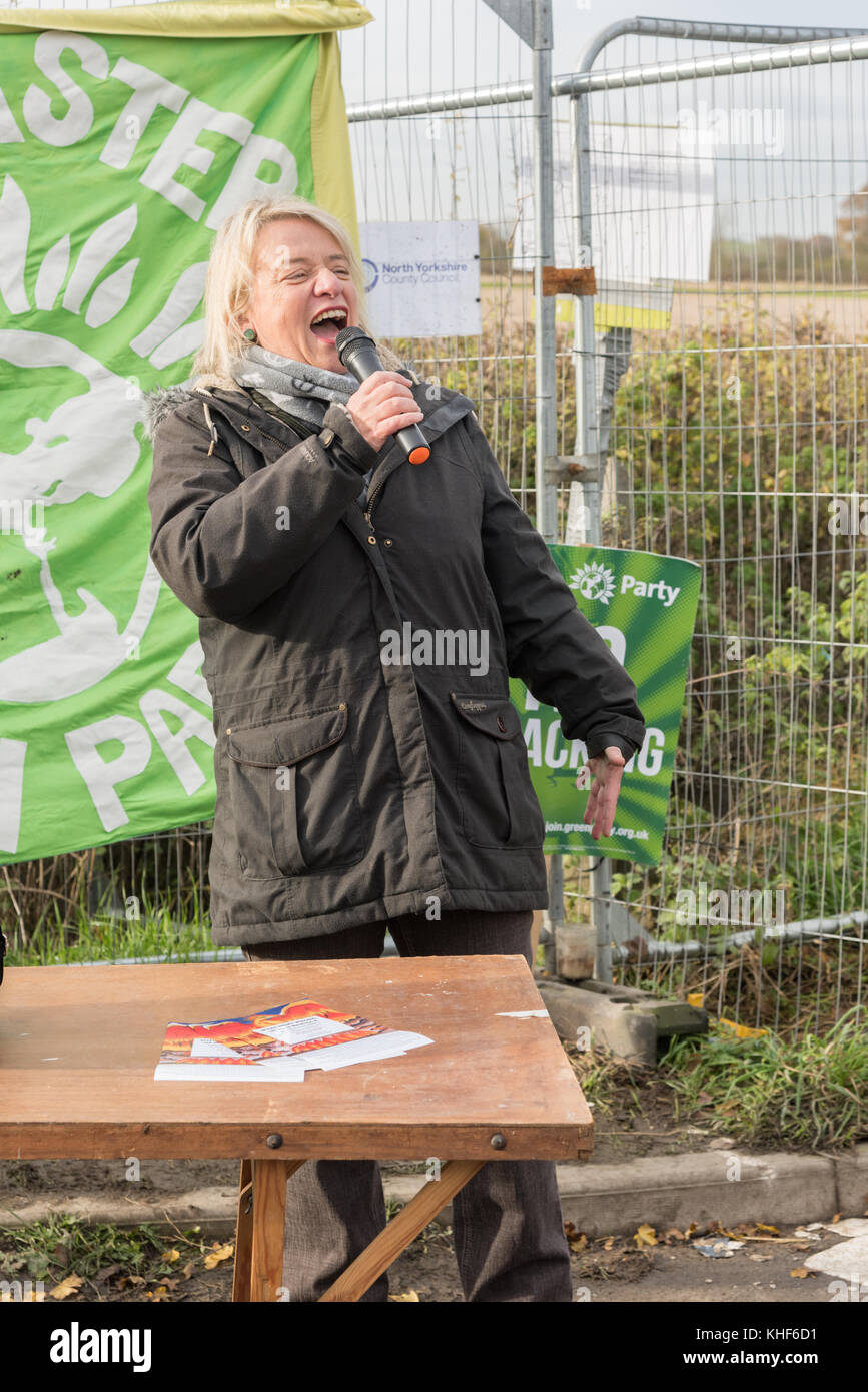 Kirby Misperton, UK. 17 Nov, 2017. Verde ex leader del Partito Natalie Bennett rende discorso all'esterno del terzo fracking energia sito a Kirby Misperton nel North Yorkshire Credito: Richard Burdon/Alamy Live News Foto Stock Kirby Misperton, UK. 17 Nov, 2017. Verde ex leader del Partito Natalie Bennett rende discorso all'esterno del terzo fracking energia sito a Kirby Misperton nel North Yorkshire Credito: Richard Burdon/Alamy Live News Foto Stock