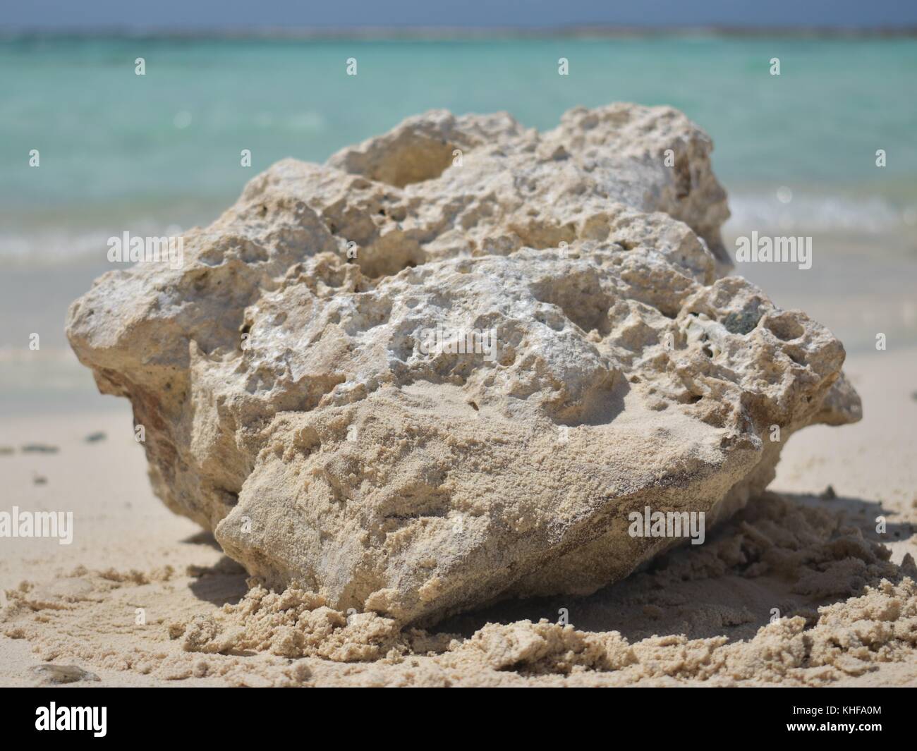 La vita di roccia in spiagge di Aruba Foto Stock