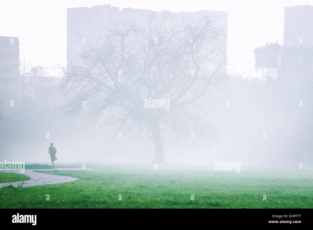 Silhouette di un uomo solitario in esecuzione nel parco della città presso la nebbia di mattina presto. la solitudine, triste umore Foto Stock