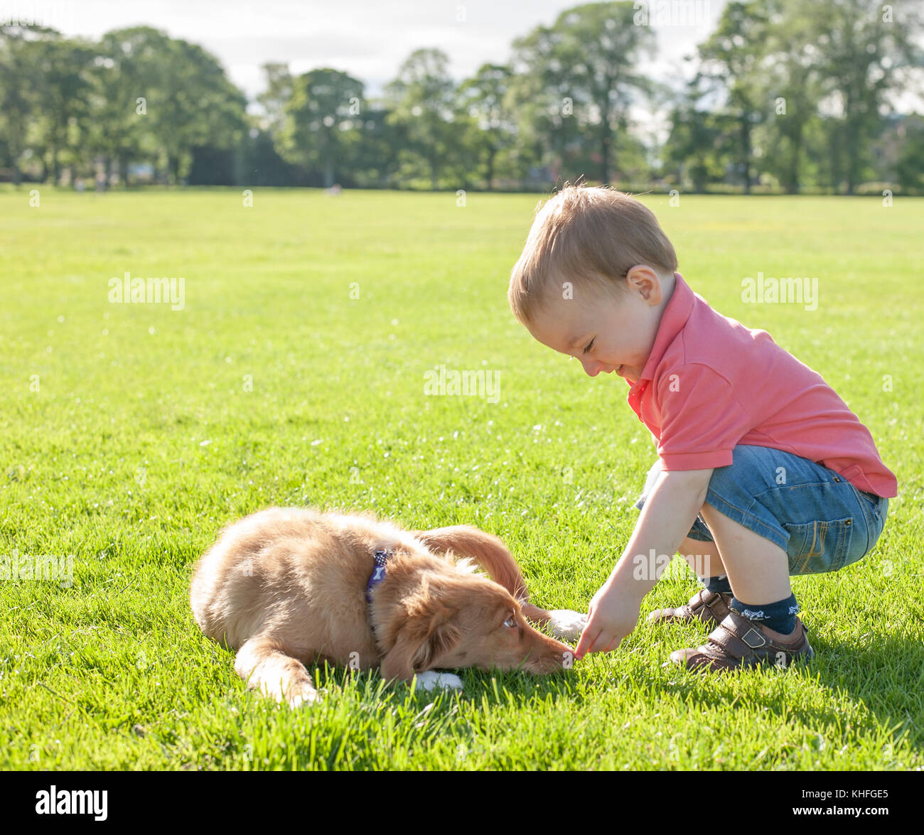 Un bambino gioca con un cucciolo Foto Stock