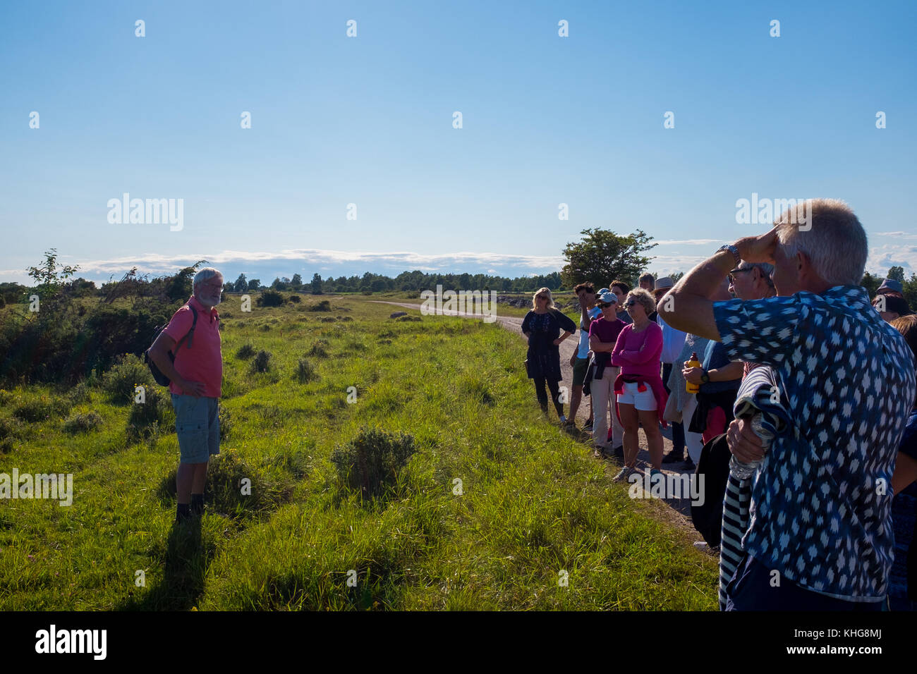 Tour guidato nella Svezia meridionale dell'isola di Öland. Foto Stock